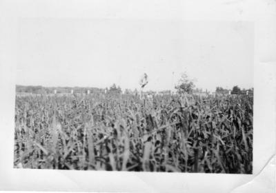 Philip Behselich in the millet field south of the house looking to the east.jpg