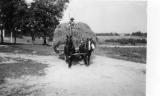 Philip Behselich on hay wagon late 1930s.jpg